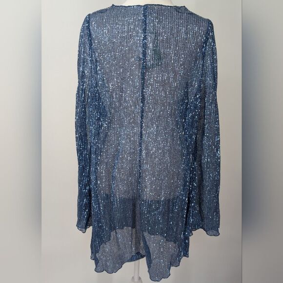H&M Blue Sheer Sequin Long Sleeve Scoop Neck Mini Party Dress X-Large XL NWT - Picture 5 of 10